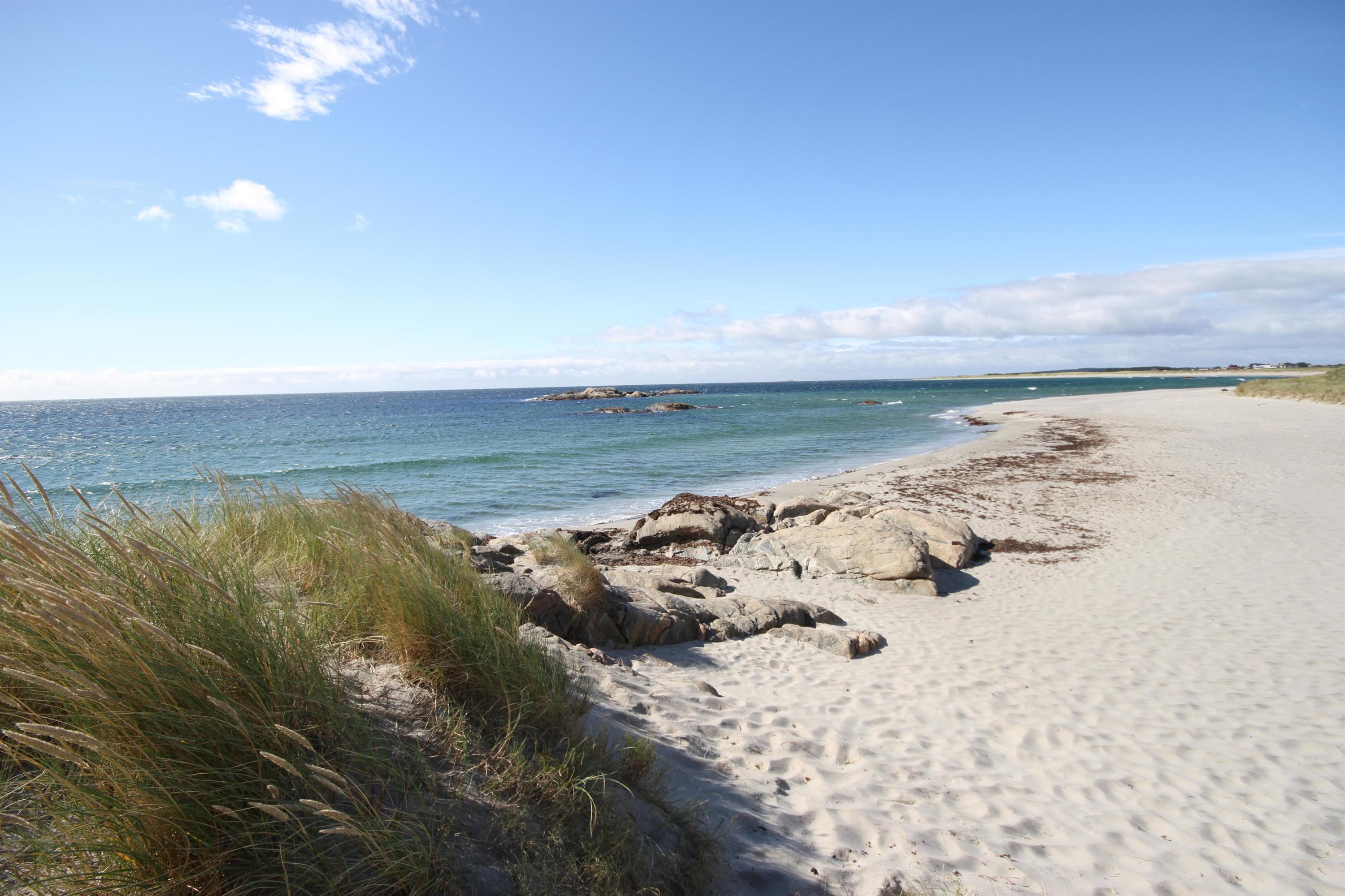 Håvik